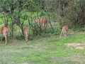 Property photo 59