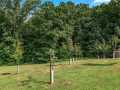 Property photo 50