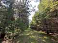 Property photo 52