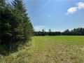 Property photo 53