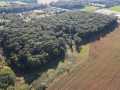 Property photo 43