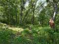 Property photo 46