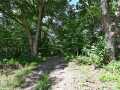 Property photo 47