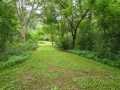 Property photo 43