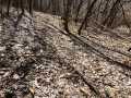 Property photo 50