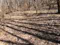Property photo 54
