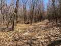 Property photo 60