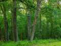 Property photo 40