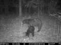 Property photo 50