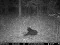 Property photo 51