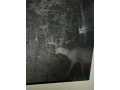 Property photo 52