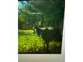 Property photo 56