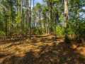 Property photo 50