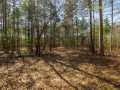 Property photo 51