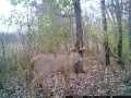Property photo 59