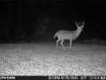 Property photo 60