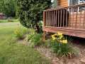 Property photo 58