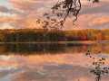 Property photo 60