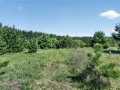 Property photo 50