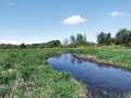 Property photo 51