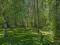Property photo 50