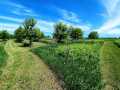 Property photo 55