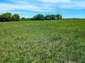 Property photo 56