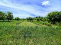 Property photo 57