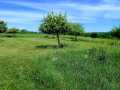 Property photo 58