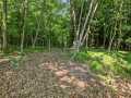 Property photo 58