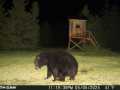 Property photo 57