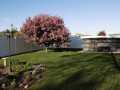 Property photo 49