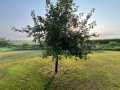 Property photo 50