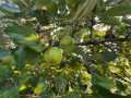 Property photo 51