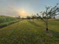 Property photo 52