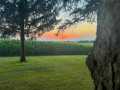 Property photo 54