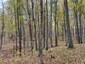 Property photo 48