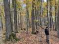 Property photo 49