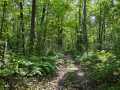 Property photo 48