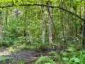 Property photo 50