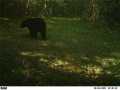 Property photo 54