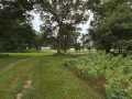 Property photo 51