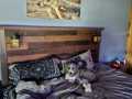 Property photo 42
