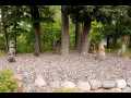 Property photo 49