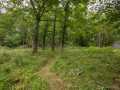 Property photo 50