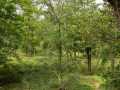 Property photo 51