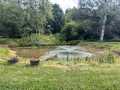 Property photo 42