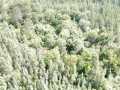 Property photo 50