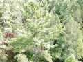 Property photo 51