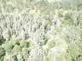 Property photo 54